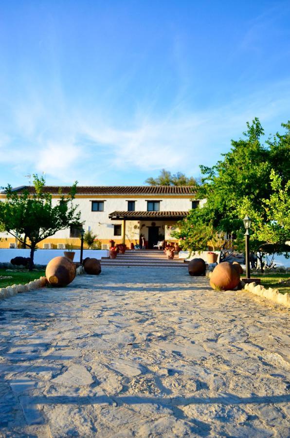 Cortijo Mesa De La Plata Pensionat Arcos de la Frontera Exteriör bild