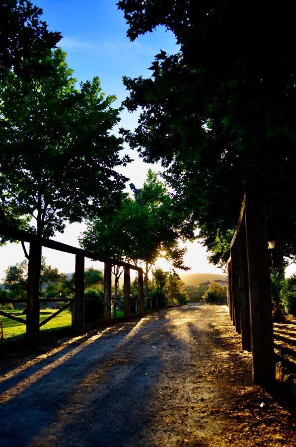 Cortijo Mesa De La Plata Pensionat Arcos de la Frontera Exteriör bild