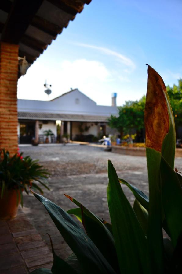 Cortijo Mesa De La Plata Pensionat Arcos de la Frontera Exteriör bild